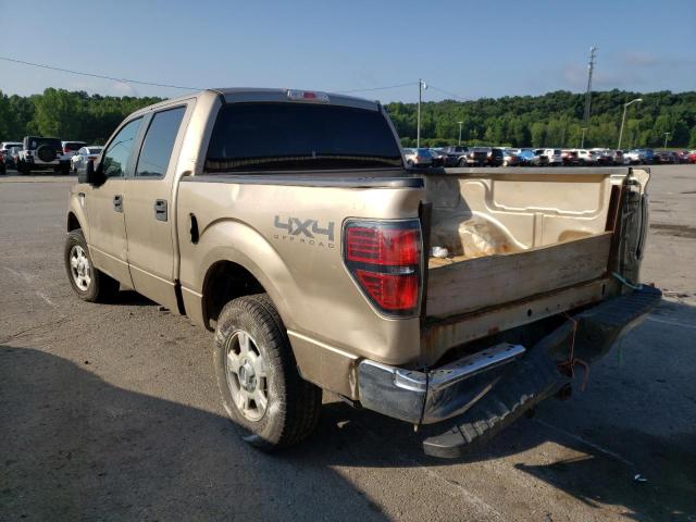 1FTFW1EF3BFA21209 - 2011 FORD F-150 TAN photo 3