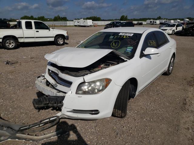 1G1ZC5E12BF113762 - 2011 CHEVROLET MALIBU 1LT  ფოტო 2