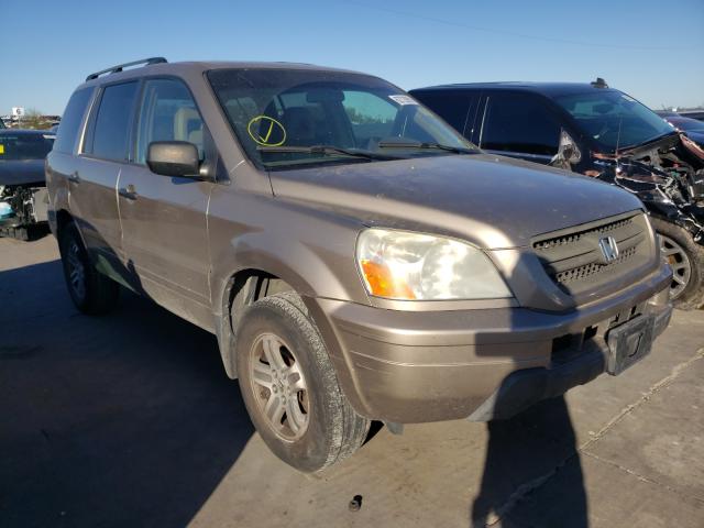 5FNYF18565B060820 - 2005 HONDA PILOT GOLD photo 1