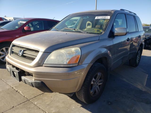 5FNYF18565B060820 - 2005 HONDA PILOT GOLD photo 2