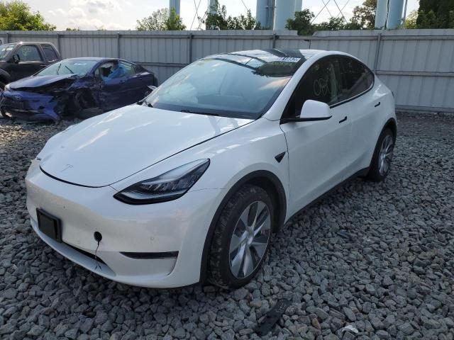 5YJYGDEE7LF026451 - 2020 TESLA MODEL Y أبيض صورة 2