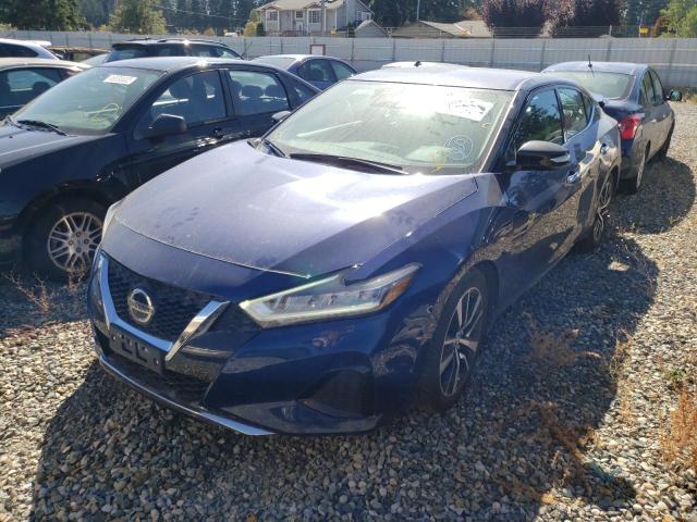 1N4AA6CV8MC505385 - 2021 NISSAN MAXIMA SV BLUE photo 2