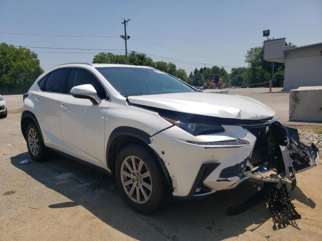 JTJYARBZ8K2117748 - 2019 LEXUS NX 300 BAS 白色 照片 1