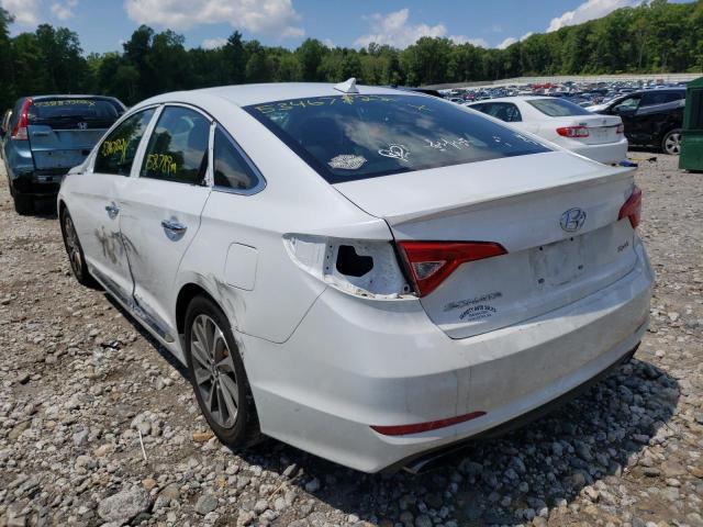 5NPE34AF4FH096301 - 2015 HYUNDAI SONATA SPO WHITE photo 3