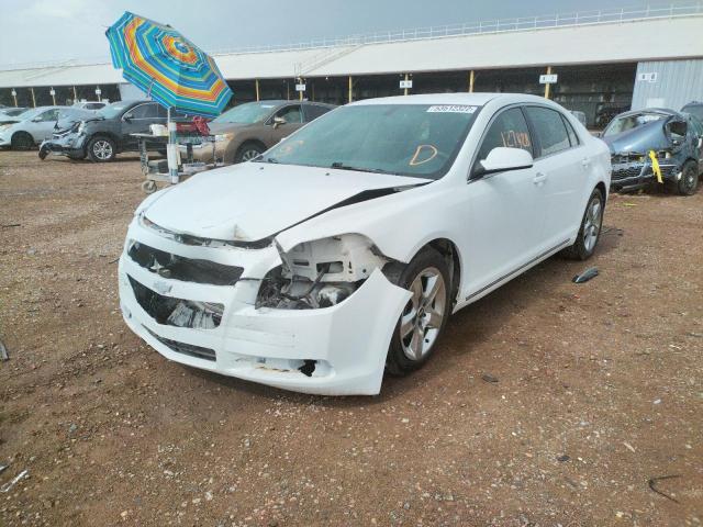 1G1ZC5EB5AF186485 - 2010 CHEVROLET MALIBU 1LT 白色 照片 2