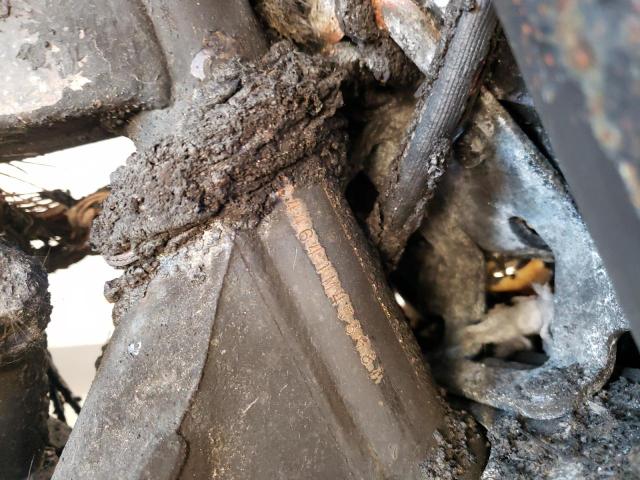 JH2RC44641M453981 - 2001 HONDA VT750 CD2 烧焦的 照片 10