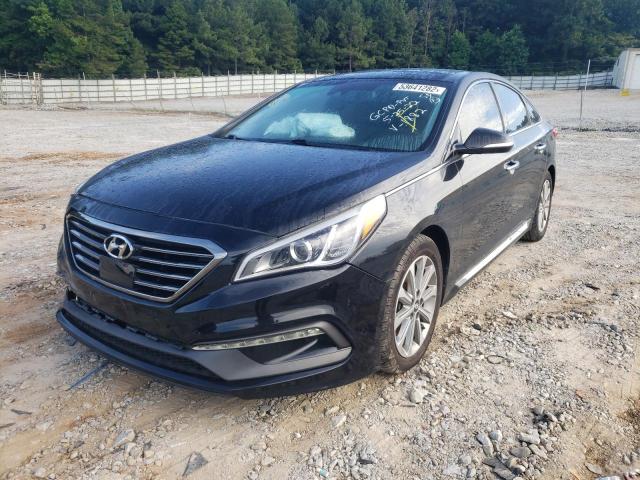 5NPE34AF3GH271882 - 2016 HYUNDAI SONATA SPO BLACK photo 2