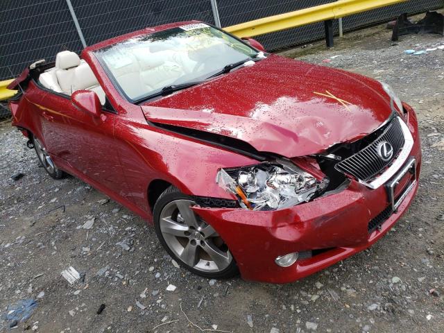 JTHFF2C28A2501305 - 2010 LEXUS IS 250 RED photo 1