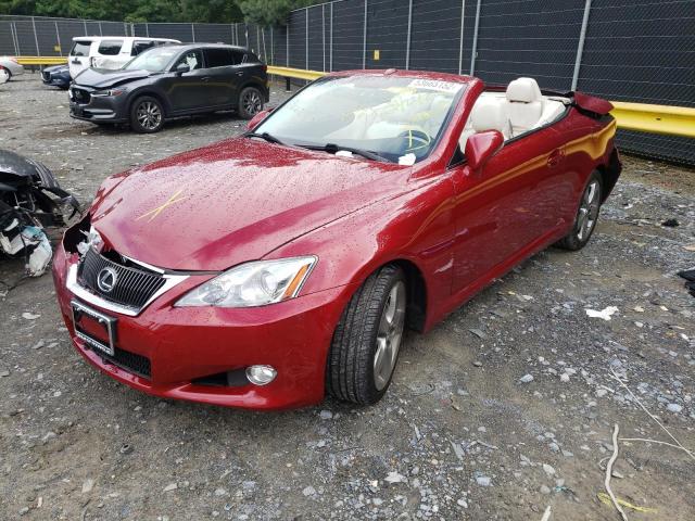 JTHFF2C28A2501305 - 2010 LEXUS IS 250 RED photo 2