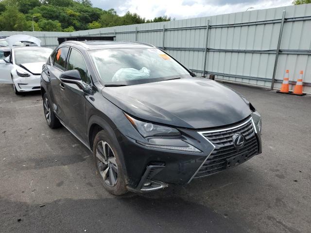 JTJGJRDZ2L5006699 - 2020 LEXUS NX 300H BLACK photo 1