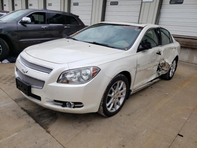 1G1ZE5E18BF184815 - 2011 CHEVROLET MALIBU LTZ თეთრი ფოტო 2
