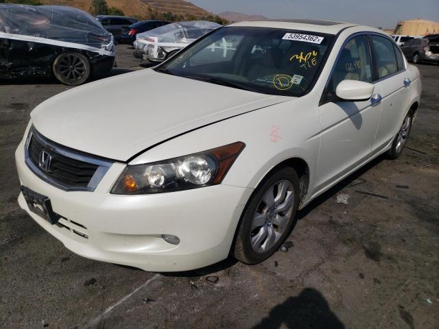 1HGCP36889A045459 - 2009 HONDA ACCORD EXL WHITE photo 2