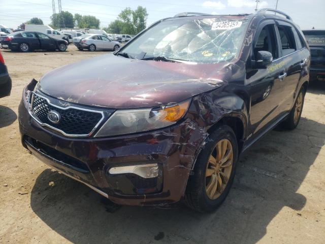 5XYKWDA2XBG141265 - 2011 KIA SORENTO SX BURGUNDY photo 2