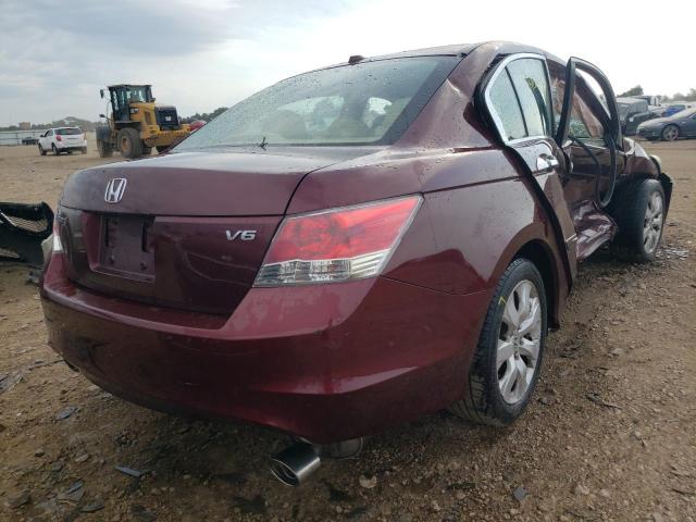 1HGCP368X9A034219 - 2009 HONDA ACCORD EXL BURGUNDY photo 4