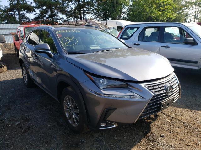 JTJDARDZ9M2260285 - 2021 LEXUS NX 300 BAS 石墨色 照片 1