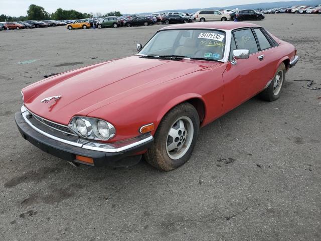 SAJNV5840EC115068 - 1984 JAGUAR XJS RED photo 2