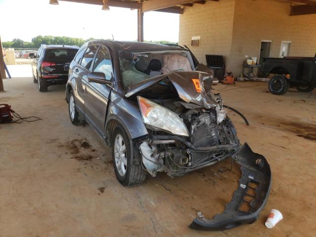 5J6RE48789L009150 - 2009 HONDA CR-V EXL  photo 1