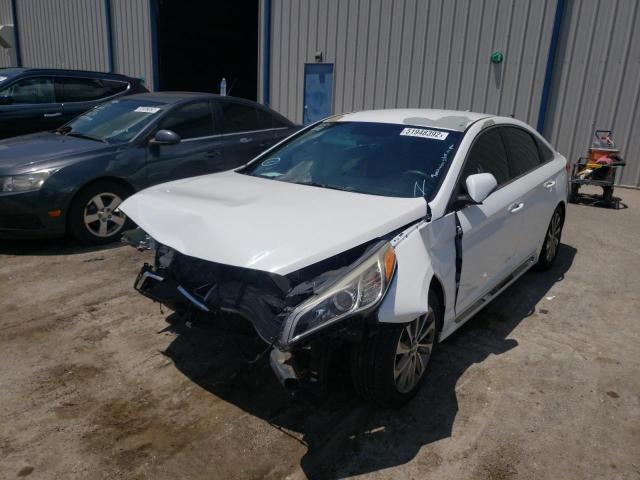 5NPE34AF4FH102274 - 2015 HYUNDAI SONATA SPO WHITE photo 2