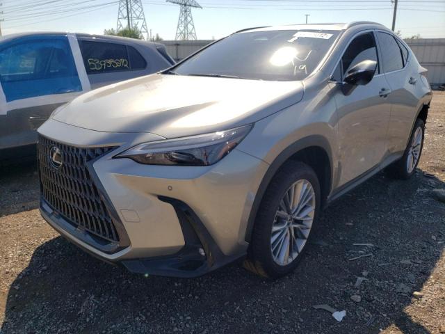 JTJGKCEZ3N2000178 - 2022 LEXUS NX 350H GRAY photo 2