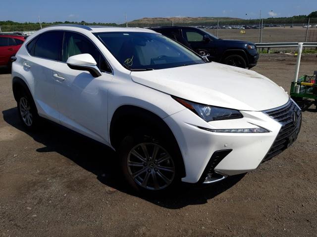 JTJDARDZ9M5026968 - 2021 LEXUS NX 300 BAS WHITE photo 1