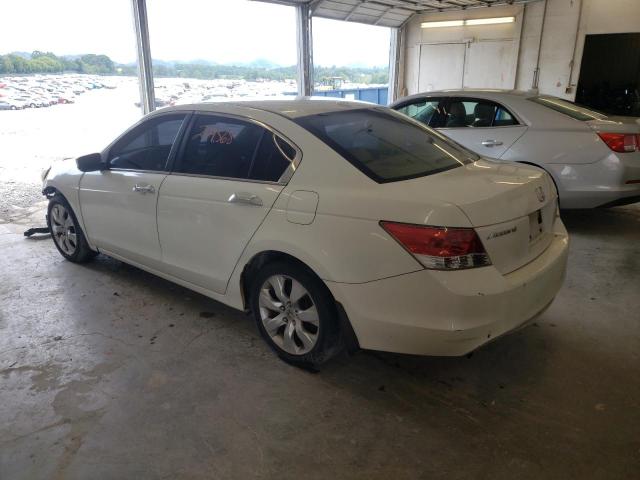 1HGCP36868A028528 - 2008 HONDA ACCORD EXL WHITE photo 3