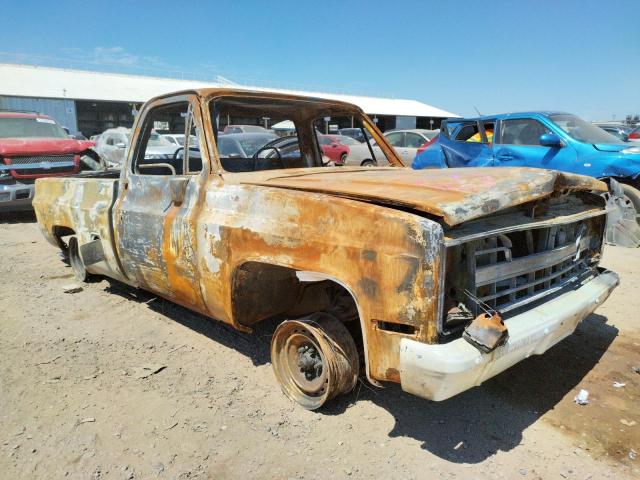 AZ388770 - 1984 CHEVROLET C-10 BURN photo 1