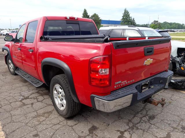 3GCEC13349G211798 - 2009 CHEVROLET silverado RED photo 3