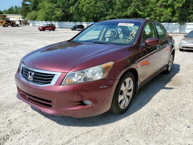 1HGCP36868A010241 - 2008 HONDA ACCORD EXL BURGUNDY photo 2