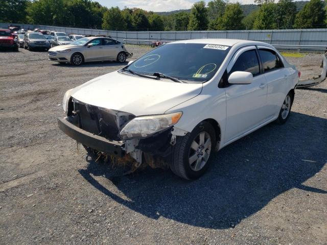 2T1BU4EE9CC776940 - 2012 TOYOTA COROLLA BASE  photo 2