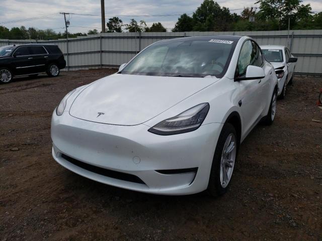 5YJYGAEE0MF178846 - 2021 TESLA MODEL Y WHITE photo 2