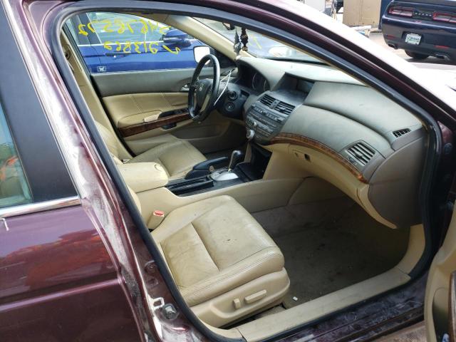 5KBCP3F85AB012205 - 2010 HONDA ACCORD EXL BURGUNDY photo 5