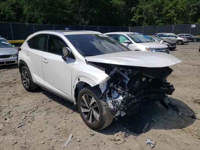 JTJBARBZ8J2158613 - 2018 LEXUS NX 300 BAS WHITE photo 1