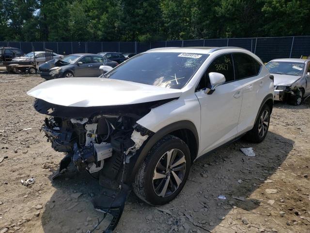 JTJBARBZ8J2158613 - 2018 LEXUS NX 300 BAS WHITE photo 2