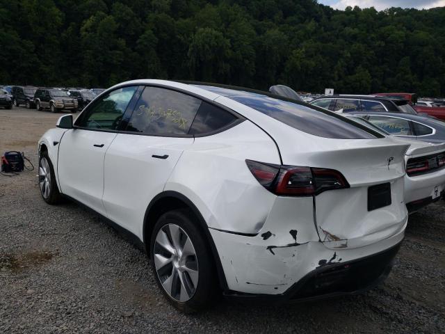 5YJYGDEE3MF279039 - 2021 TESLA MODEL Y Белый фото 3