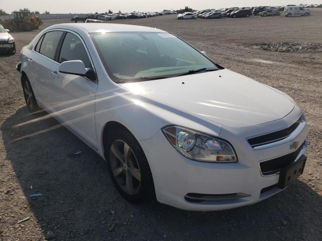 1G1ZC5E1XBF152048 - 2011 CHEVROLET MALIBU 1LT თეთრი ფოტო 1