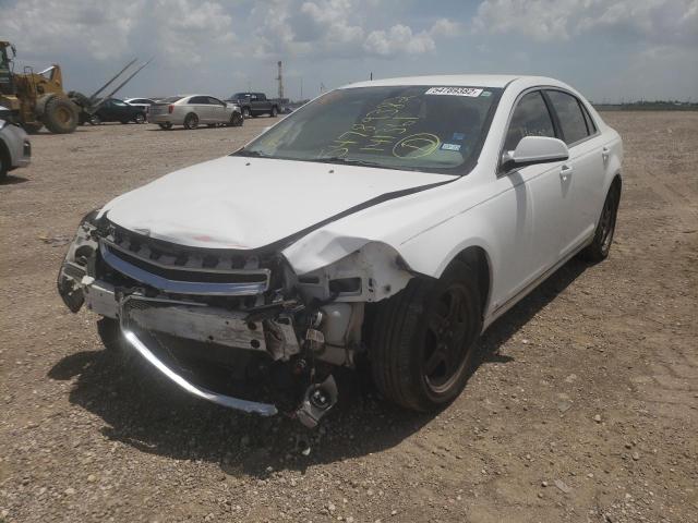 1G1ZH57B19F141361 - 2009 CHEVROLET MALIBU 1LT თეთრი ფოტო 2