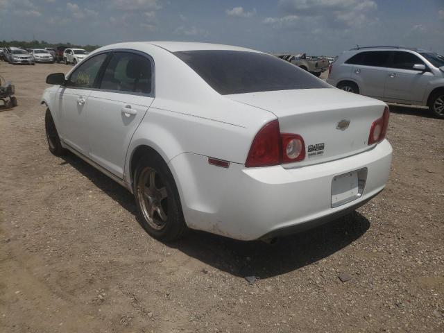 1G1ZH57B19F141361 - 2009 CHEVROLET MALIBU 1LT თეთრი ფოტო 3