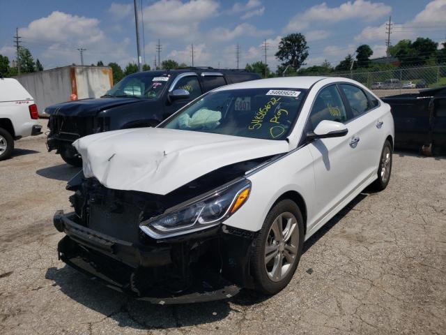 5NPE34AF5KH762155 - 2019 HYUNDAI SONATA LIM WHITE photo 2