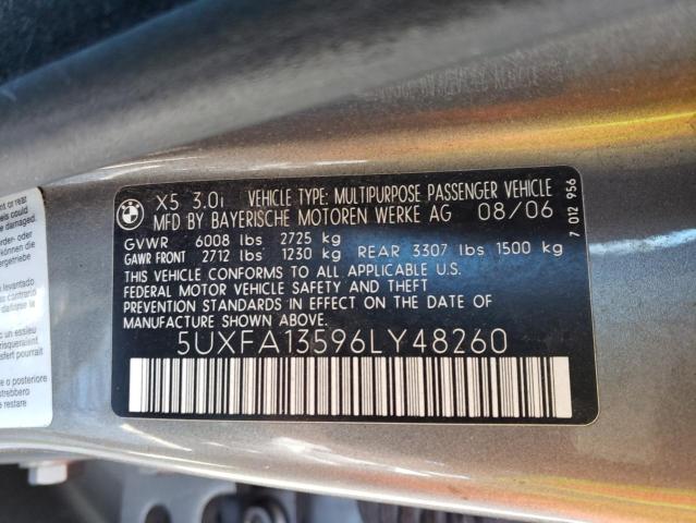 5UXFA13596LY48260 - 2006 BMW X5 GRAY photo 10