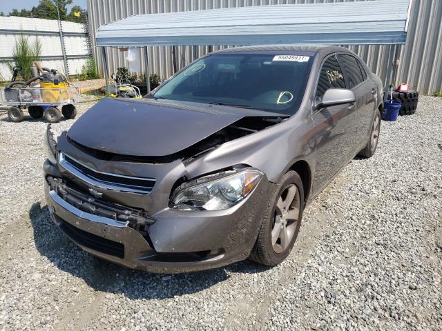 1G1ZC5EU3BF158249 - 2011 CHEVROLET MALIBU 1LT 米色 照片 2
