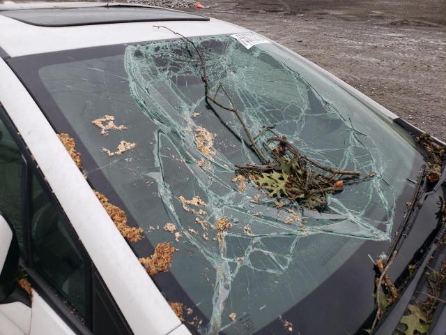 19XFB2F94DE078865 - 2013 HONDA CIVIC EXL Ağ foto 9