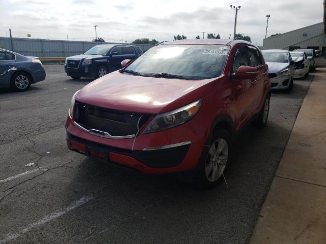 KNDPB3A20C7287572 - 2012 KIA SPORTAGE B RED photo 2