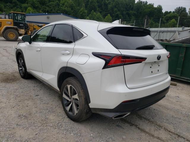 JTJGARDZXL5017627 - 2020 LEXUS NX 300 WHITE photo 3