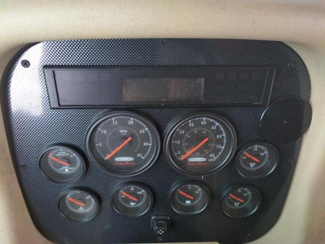 4UZAB2BS6ACAR2495 - 2010 FREIGHTLINER CHASSIS XC ორფეროვანი ფოტო 8