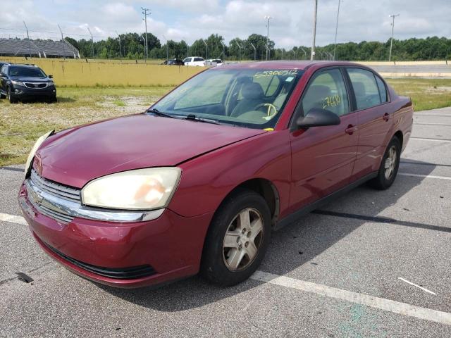 1G1ZT52815F265246 - 2005 CHEVROLET MALIBU LS RED photo 2