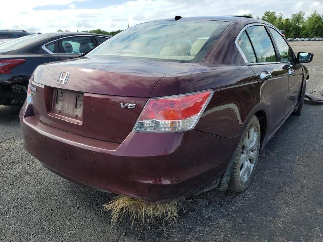 1HGCP36839A051637 - 2009 HONDA ACCORD EXL BURGUNDY photo 4