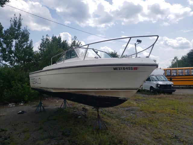 CR0AN174A585 - 1985 ROBA BOAT WHITE photo 1