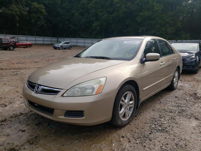 1HGCM56836A176511 - 2006 HONDA ACCORD EX GOLD photo 2