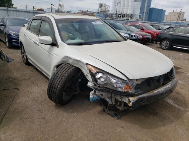 1HGCP3F81AA022612 - 2010 HONDA ACCORD EXL WHITE photo 1