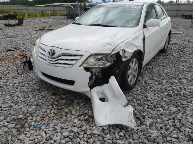 4T1BF3EK9AU565579 - 2010 TOYOTA CAMRY BASE  photo 2